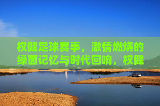 权健足球赛事，激情燃烧的绿茵记忆与时代回响，权健足球赛事，激情燃烧的绿茵记忆与时代回响