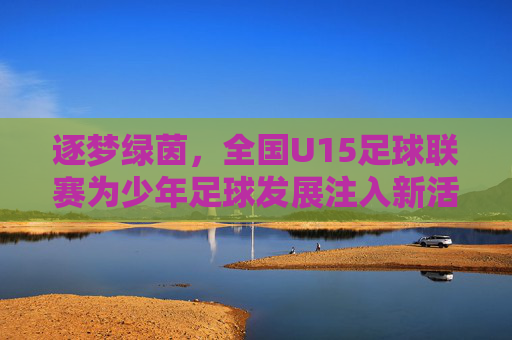 逐梦绿茵，全国U15足球联赛为少年足球发展注入新活力，逐梦绿茵，全国U15足球联赛为少年足球发展注入新活力