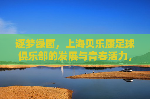 逐梦绿茵，上海贝乐康足球俱乐部的发展与青春活力，逐梦绿茵，上海贝乐康足球俱乐部的发展与青春活力
