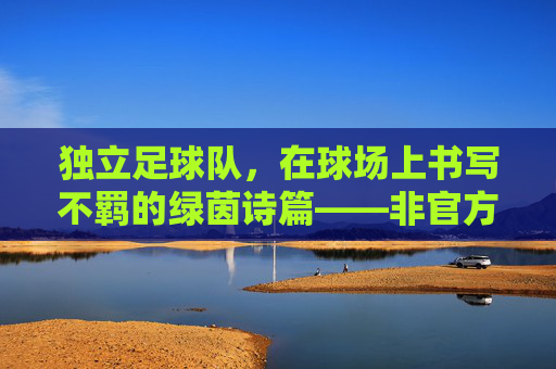 独立足球队,在球场上书写不羁的绿茵诗篇——非官方联赛中的自主与热爱,独立足球队,在球场上书写不羁的绿茵诗篇——非官方联赛中的自主与热爱