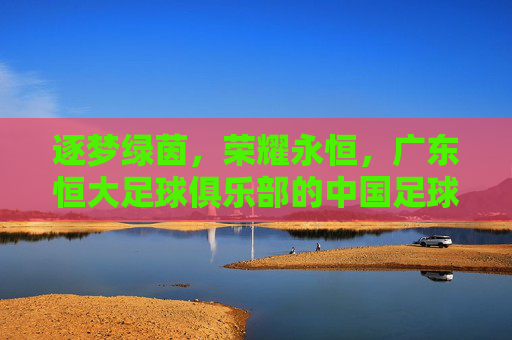 逐梦绿茵，荣耀永恒，广东恒大足球俱乐部的中国足球传奇，逐梦绿茵，荣耀永恒，广东恒大足球俱乐部的中国足球传奇