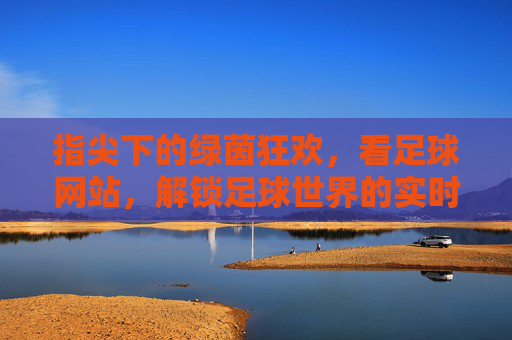 指尖下的绿茵狂欢,看足球网站,解锁足球世界的实时动态与深度分析,指尖下的绿茵狂欢,足球网站,解锁实时动态与深度分析