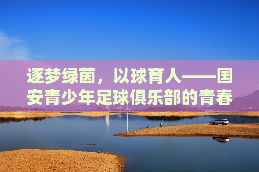 逐梦绿茵，以球育人——国安青少年足球俱乐部的青春篇章，逐梦绿茵，以球育人——国安青少年足球俱乐部的青春篇章