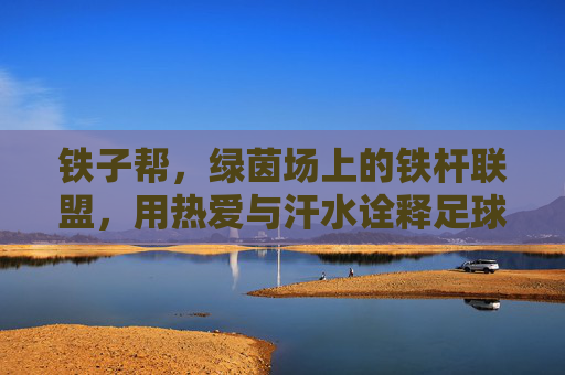 铁子帮,绿茵场上的铁杆联盟,用热爱与汗水诠释足球真谛,铁子帮,绿茵场上的铁杆联盟,用热爱与汗水诠释足球真谛