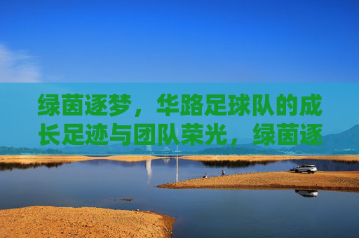 绿茵逐梦，华路足球队的成长足迹与团队荣光，绿茵逐梦，华路足球队的成长足迹与团队荣光