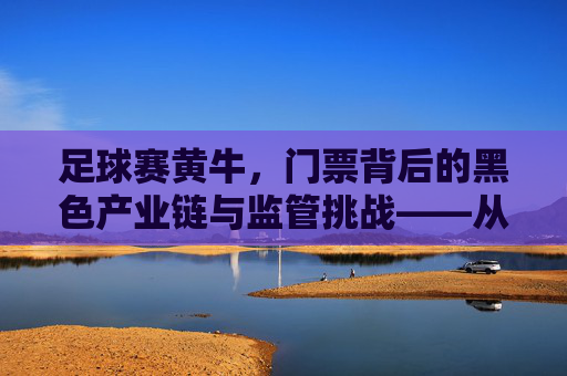 足球赛黄牛,门票背后的黑色产业链与监管挑战——从需求到乱象的深层剖析