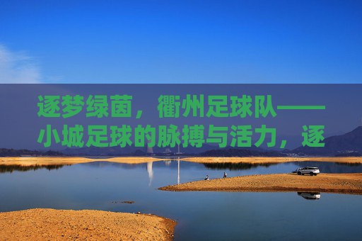 逐梦绿茵，衢州足球队——小城足球的脉搏与活力，逐梦绿茵，衢州足球队——小城足球的脉搏与活力