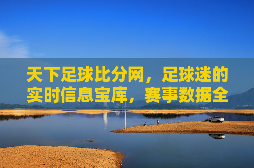 天下足球比分网，足球迷的实时信息宝库，赛事数据全解析，天下足球比分网，足球迷的实时信息宝库，赛事数据全解析