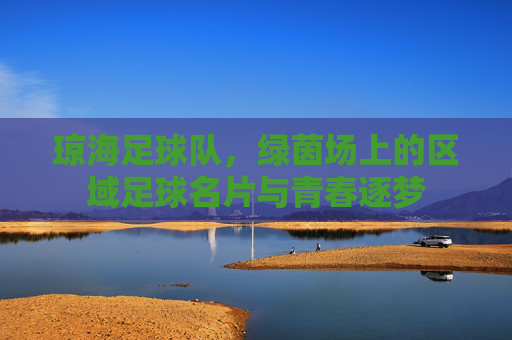琼海足球队,绿茵场上的区域足球名片与青春逐梦