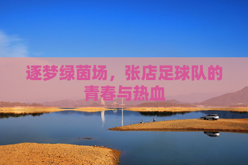 逐梦绿茵场，张店足球队的青春与热血