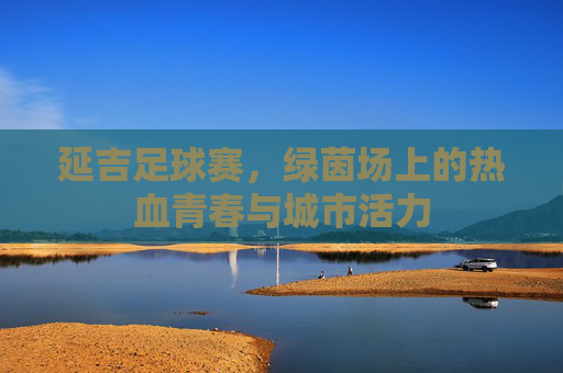 延吉足球赛,绿茵场上的热血青春与城市活力