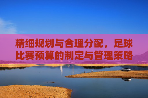 精细规划与合理分配，足球比赛预算的制定与管理策略
