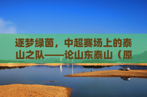 逐梦绿茵，中超赛场上的泰山之队——论山东泰山（原山东鲁能）在中超联赛中的辉煌与传承，逐梦绿茵，中超赛场上的泰山之队——论山东泰山（原山东鲁能）在中超联赛中的辉煌与传承