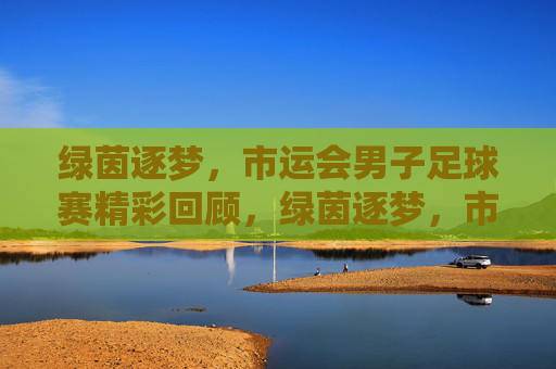 绿茵逐梦，市运会男子足球赛精彩回顾，绿茵逐梦，市运会男子足球赛精彩回顾
