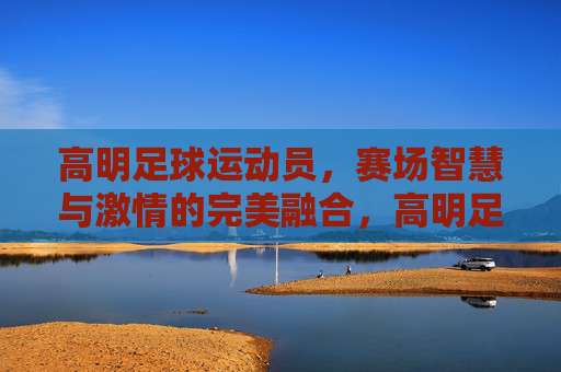 高明足球运动员,赛场智慧与激情的完美融合,高明足球运动员,赛场智慧与激情的完美融合