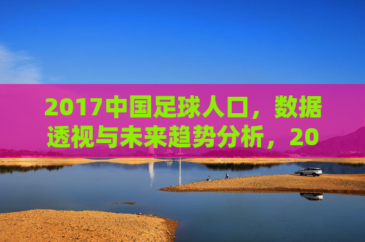 2017中国足球人口,数据透视与未来趋势分析,2017中国足球人口数据透视与未来趋势分析
