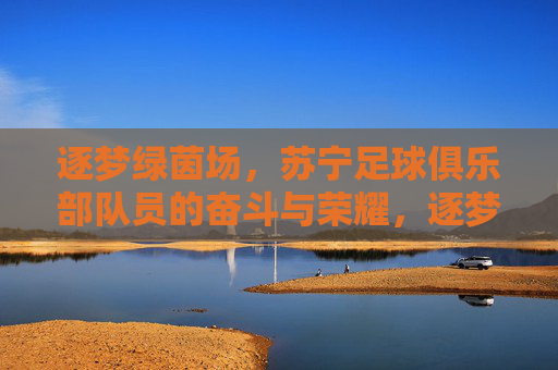 逐梦绿茵场，苏宁足球俱乐部队员的奋斗与荣耀，逐梦绿茵场，苏宁足球俱乐部队员的奋斗与荣耀