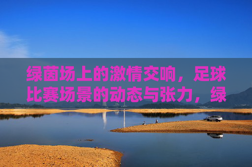 绿茵场上的激情交响，足球比赛场景的动态与张力，绿茵场上的激情交响，足球比赛的动态与张力