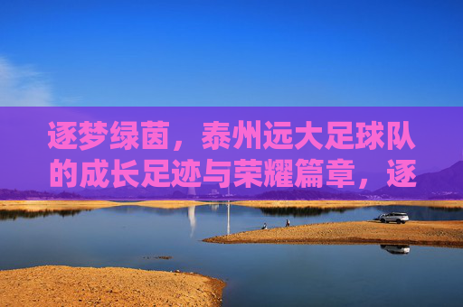 逐梦绿茵,泰州远大足球队的成长足迹与荣耀篇章,逐梦绿茵,泰州远大足球队的成长足迹与荣耀篇章