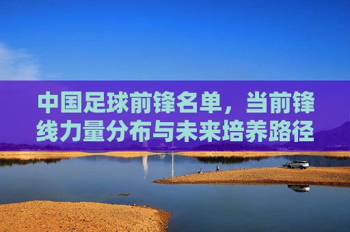 中国足球前锋名单,当前锋线力量分布与未来培养路径,中国足球前锋名单,当前锋线力量分布与未来培养路径