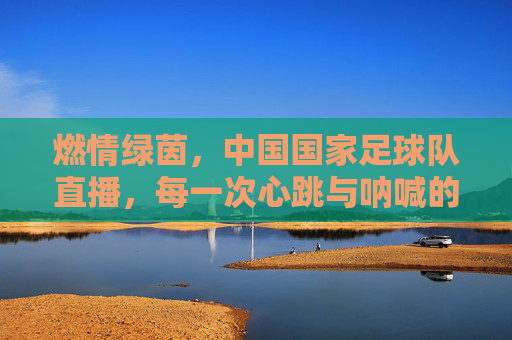 燃情绿茵,中国国家足球队直播,每一次心跳与呐喊的共鸣,燃情绿茵,中国国家足球队直播,每一次心跳与呐喊的共鸣