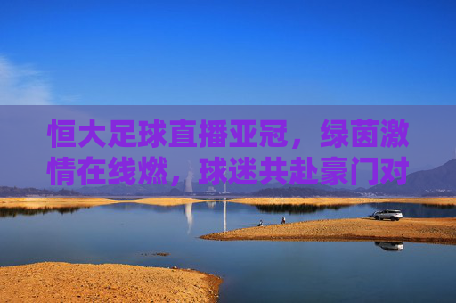 恒大足球直播亚冠,绿茵激情在线燃,球迷共赴豪门对决,恒大足球直播亚冠,绿茵激情在线燃,球迷共赴豪门对决