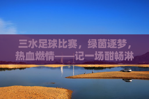 三水足球比赛，绿茵逐梦，热血燃情——记一场酣畅淋漓的社区足球盛宴，三水足球比赛，绿茵逐梦，热血燃情——记一场酣畅淋漓的社区足球盛宴