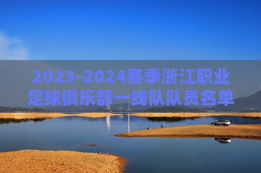 2023-2024赛季浙江职业足球俱乐部一线队队员名单详解，阵容构成与未来展望，2023-2024赛季浙江职业足球俱乐部一线队队员名单详解，阵容构成与未来展望