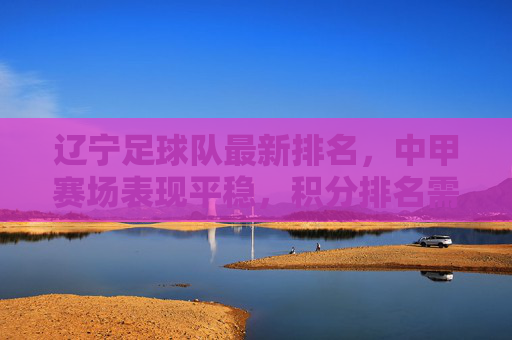 辽宁足球队最新排名，中甲赛场表现平稳，积分排名需持续发力，辽宁足球队最新排名，中甲赛场表现平稳，积分排名需持续发力