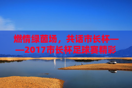 燃情绿茵场，共话市长杯——2017市长杯足球赛精彩回眸，燃情绿茵场，共话市长杯——2017市长杯足球赛精彩回眸