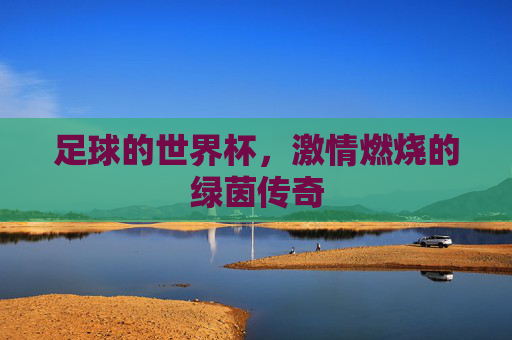 足球的世界杯,激情燃烧的绿茵传奇