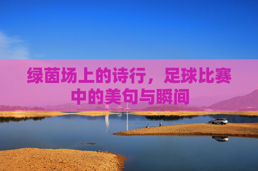 绿茵场上的诗行,足球比赛中的美句与瞬间
