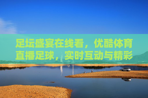 足坛盛宴在线看，优酷体育直播足球，实时互动与精彩回放的完美结合