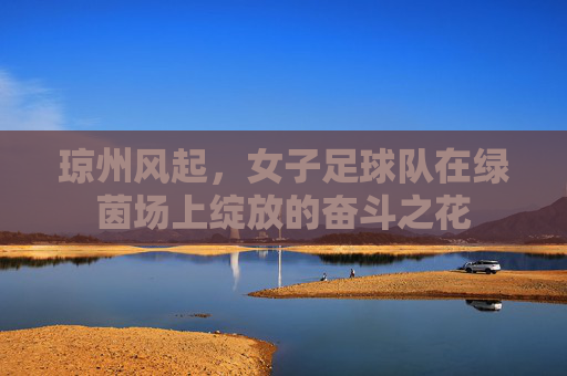 琼州风起，女子足球队在绿茵场上绽放的奋斗之花