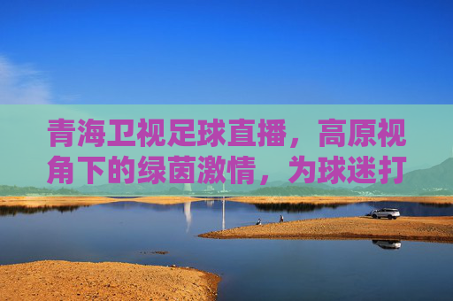 青海卫视足球直播,高原视角下的绿茵激情,为球迷打造沉浸式观赛盛宴