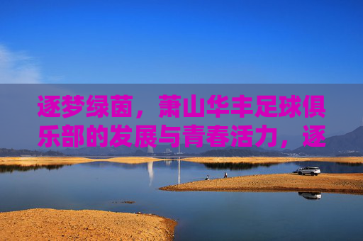 逐梦绿茵，萧山华丰足球俱乐部的发展与青春活力，逐梦绿茵，萧山华丰足球俱乐部的发展与青春活力