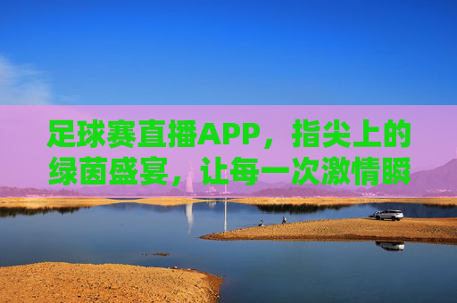 足球赛直播APP，指尖上的绿茵盛宴，让每一次激情瞬间触手可及，足球赛直播APP，指尖上的绿茵盛宴，每一次激情触手可及
