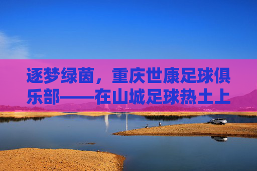 逐梦绿茵,重庆世康足球俱乐部——在山城足球热土上书写青春与希望,逐梦绿茵,重庆世康足球俱乐部——在山城足球热土上书写青春与希望