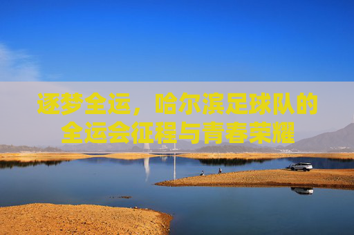 逐梦全运,哈尔滨足球队的全运会征程与青春荣耀
