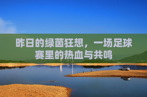 昨日的绿茵狂想,一场足球赛里的热血与共鸣