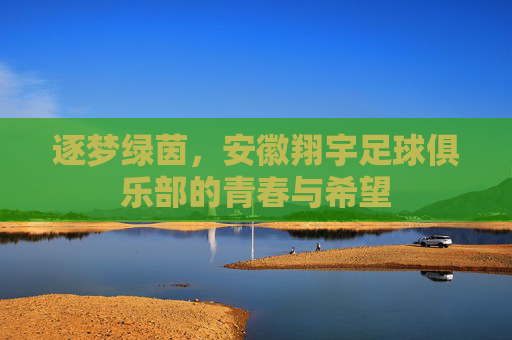 逐梦绿茵，安徽翔宇足球俱乐部的青春与希望