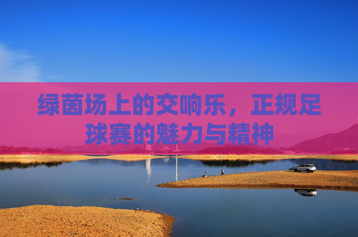 绿茵场上的交响乐，正规足球赛的魅力与精神