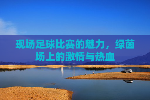 现场足球比赛的魅力，绿茵场上的激情与热血