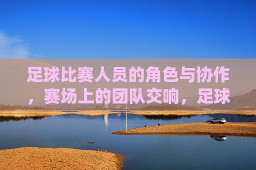 足球比赛人员的角色与协作,赛场上的团队交响,足球赛场,角色协作与团队交响的动态演绎