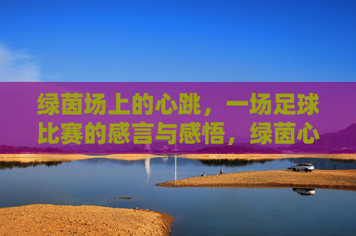 绿茵场上的心跳，一场足球比赛的感言与感悟，绿茵心跳，一场足球比赛的感言与感悟