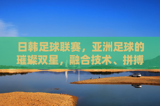 日韩足球联赛,亚洲足球的璀璨双星,融合技术、拼搏与国际化的典范