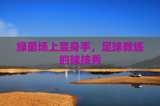 绿茵场上显身手,足球教练的球技秀