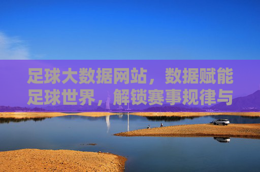 足球大数据网站，数据赋能足球世界，解锁赛事规律与价值