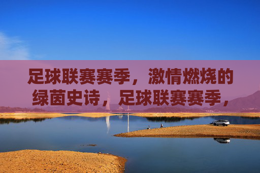 足球联赛赛季,激情燃烧的绿茵史诗,足球联赛赛季,激情燃烧的绿茵史诗