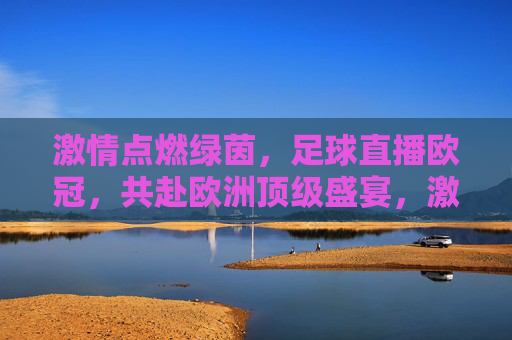 激情点燃绿茵，足球直播欧冠，共赴欧洲顶级盛宴，激情点燃绿茵，足球直播欧冠，共赴欧洲顶级盛宴